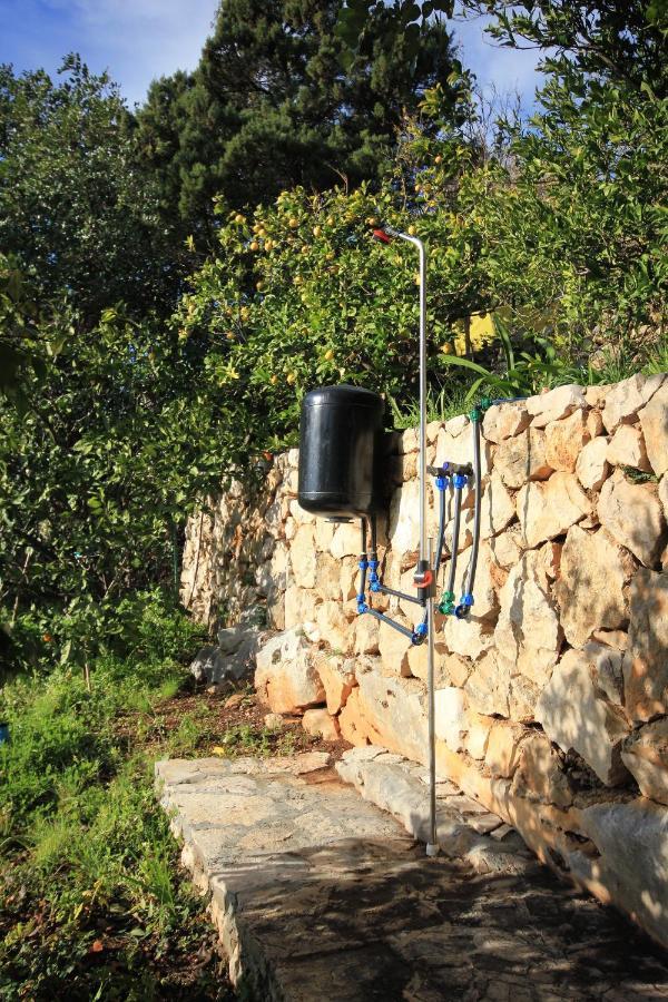 Apartments With A Parking Space Zavala, Hvar - 8912 المظهر الخارجي الصورة