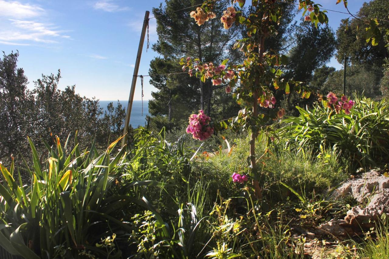 Apartments With A Parking Space Zavala, Hvar - 8912 المظهر الخارجي الصورة
